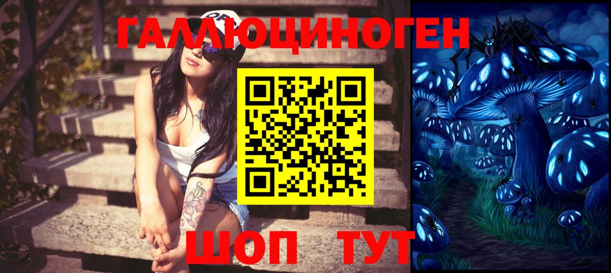 купить   Галлюциногенные грибы MAGIC MUSHROOMS  Вход с VPN  Волоколамск 