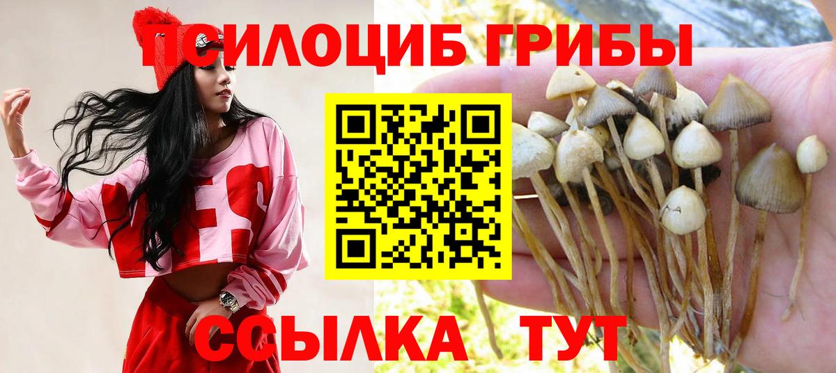 Псилоцибиновые грибы Cubensis Волоколамск